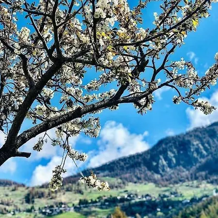 Apartament Di Montagna Immerso Nella Natura. *