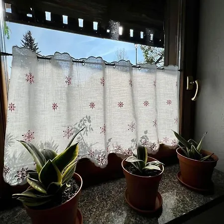 Di Montagna Immerso Nella Natura. Apartament
